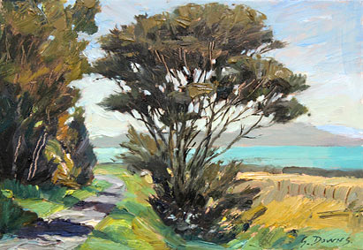 Graham Downs nz landscape artist, gulf view, oil on board